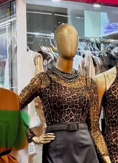 BLUSA 2 BLUSA TUL CUELLO ALTO